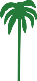 Palmeira Rodapé